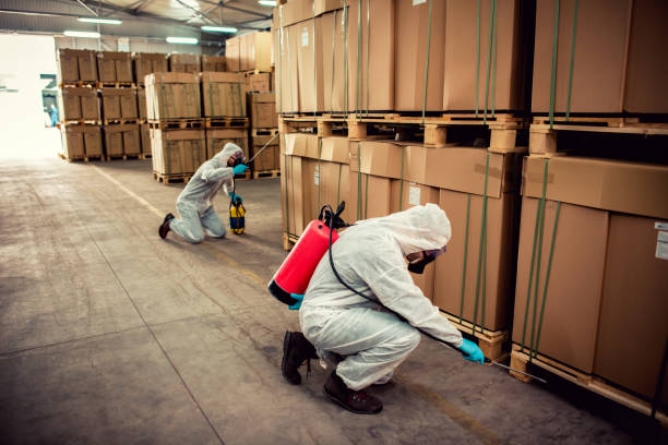 Best Best Pest Control Companies  in Bells, TN