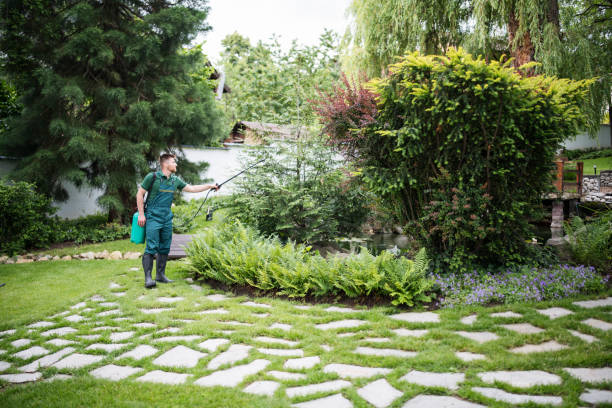 Best Pest Inspection Near Me  in Bells, TN