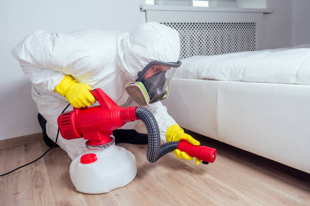 Pest Control Cost in Bells, TN
