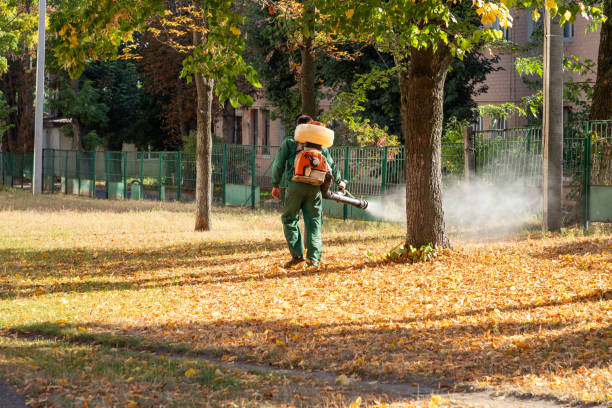 Best Emergency Pest Control  in Bells, TN