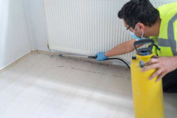 Best Ant Control Services  in Bells, TN