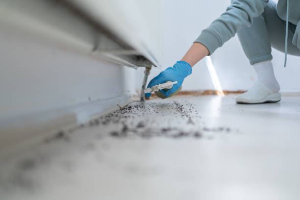 Pest Control for Restaurants in Bells, TN